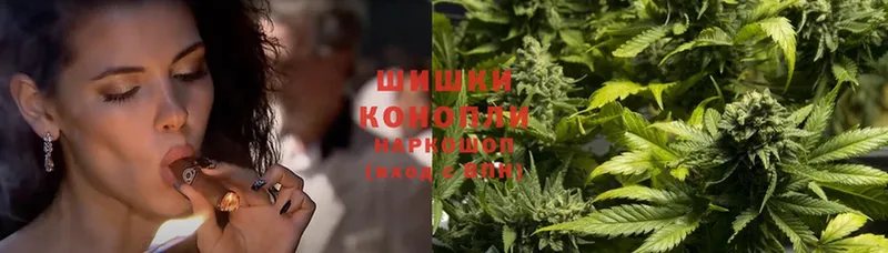 Бошки марихуана Ganja  OMG зеркало  Моздок  где купить наркоту 